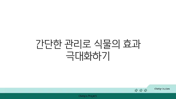 여의도 그린빌딩에서 식물로 내부 공기 질 개선하기