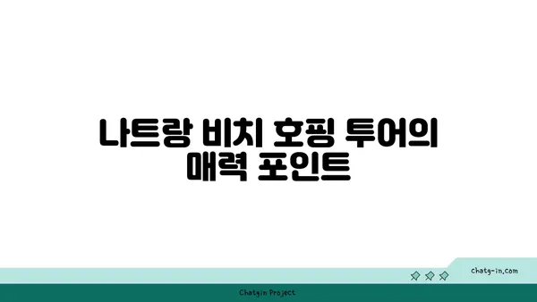 나트랑의 일일 비치 호핑 투어 후기: 미친 대결