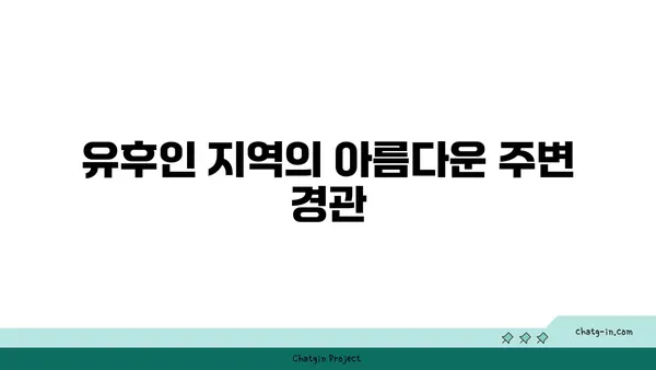 유후인 쿠오리테이 료칸 후기: 호화로운 온천수영장과 아늑한 분위기