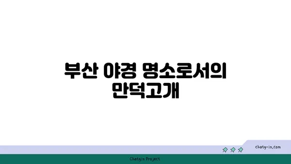 부산의 숨겨진 보석: 만덕고개 누리길의 야경