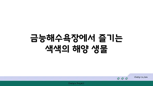 제주 금능해수욕장에서 스노쿨링과 조개 잡기