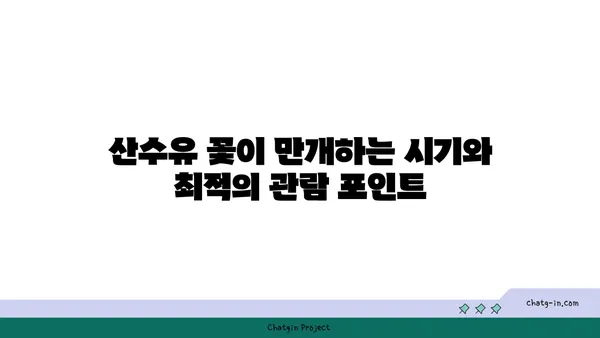 구례 산수유 축제와 산수유마을 둘러보기