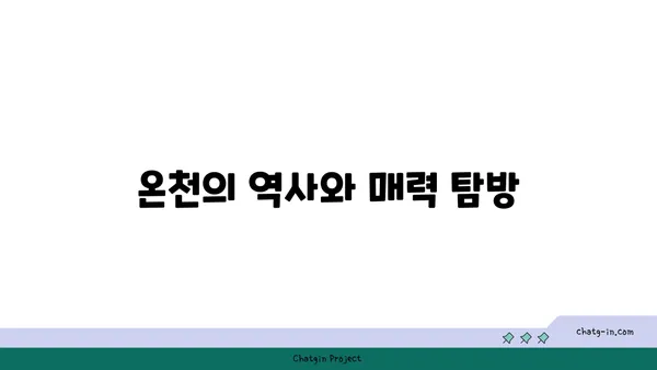 스위스 로이커바트 온천 마을에서 제 알프스 온천 체험기