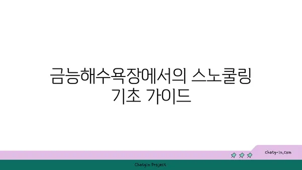 제주의 수중 세계 탐사: 금능해수욕장 스노쿨링과 조개잡이