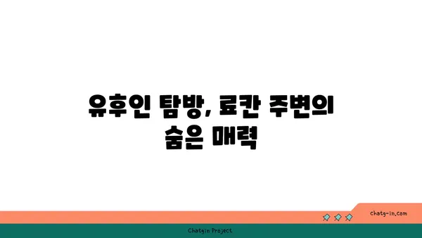 유후인 호시노사토 온천이 있는 료칸에서의 하루