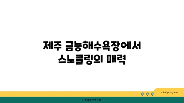 제주 금능해수욕장: 스노클링과 조개 잡이