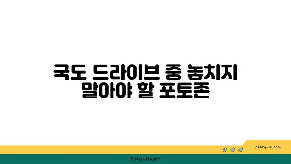 삿포로 렌트카 여행: 국도를 따라 후라노 비에이로