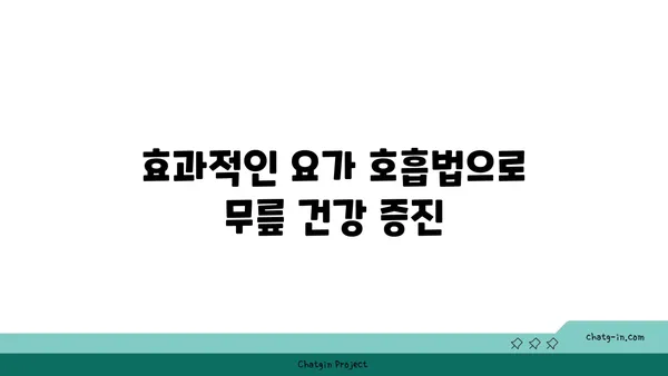 무릎 건강에 좋은 요가 명상법