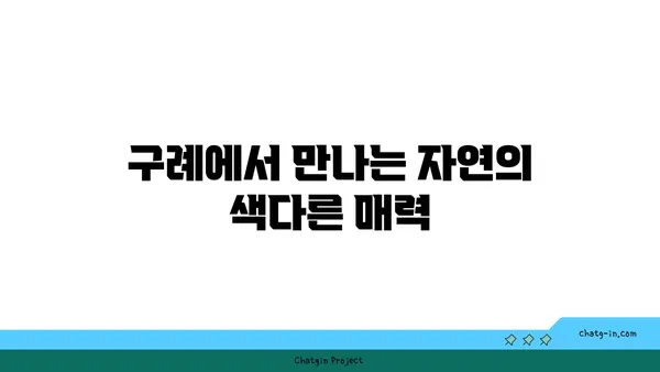 구례 산수유 축제: 꽃구경과 산책의 즐거움
