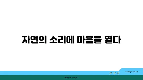 자연 속에서 진행하는 야외 요가의 장점