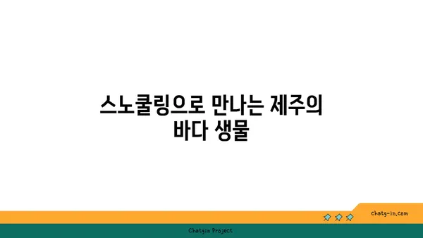 제주의 매력적인 금능 해수욕장: 스노쿨링과 조개잡이 체험