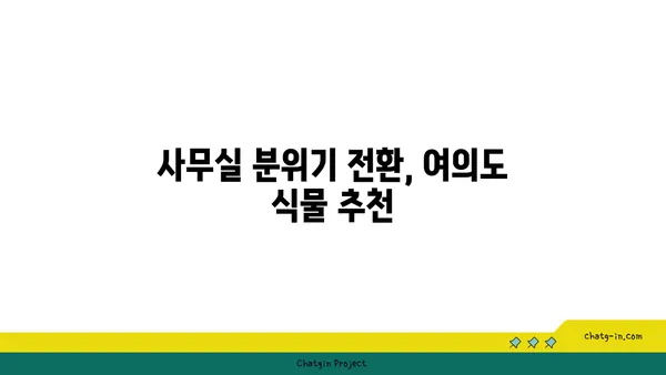 여의도에서 오피스 식물 꾸미기