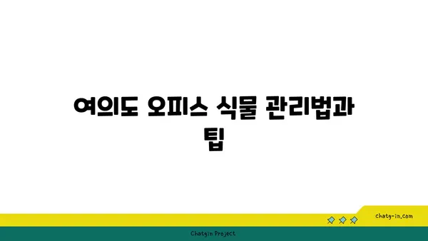 여의도에서 오피스 식물 꾸미기