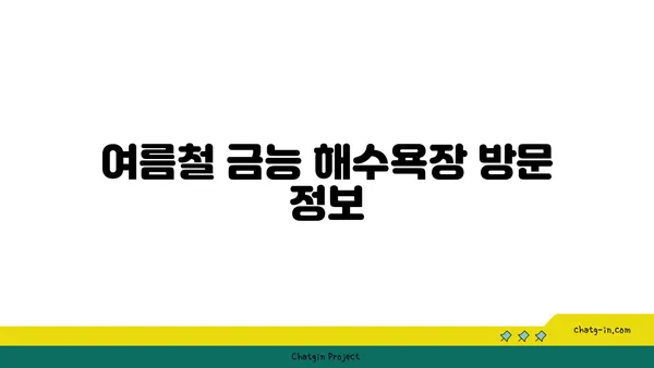 제주의 매력적인 금능 해수욕장: 스노쿨링과 조개잡이 체험