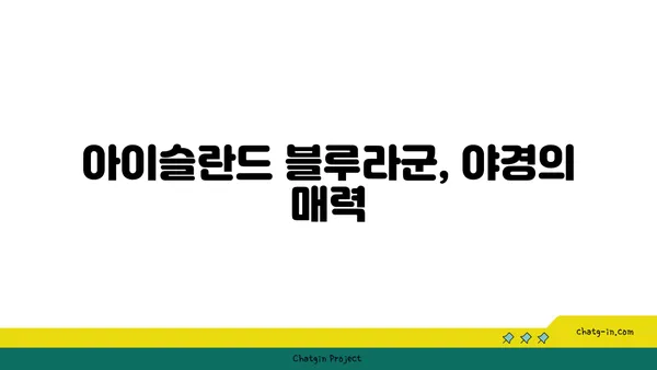 아이슬란드 블루라군 야간 온천 체험 후기
