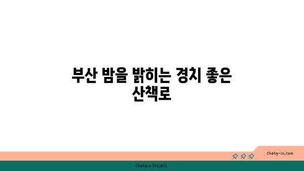 만덕고개 누리길: 부산의 멋진 밤 풍경 속 온천수영장