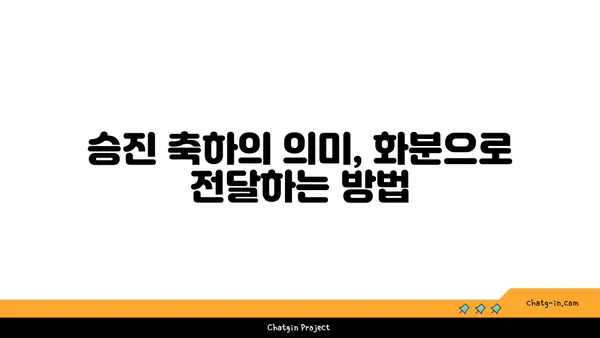 여의도 사무실 꾸미기: 파키라 화분과 승진 축하의 아름다움