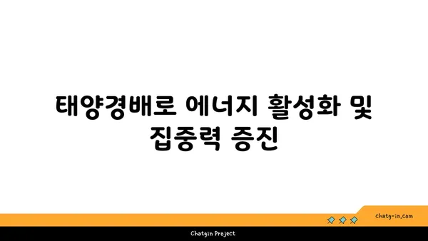 요가 종류별 집중력 향상 방법