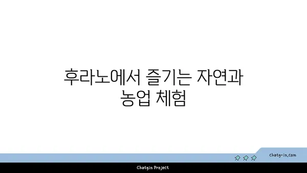 삿포로에서 후라노까지의 경치 좋은 렌트카 여행