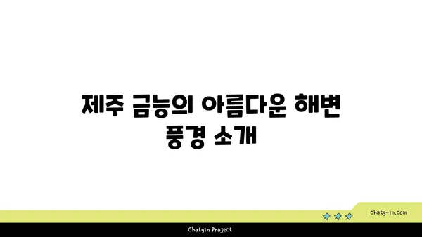 제주 금능해수욕장에서 스노쿨링과 조개 잡기
