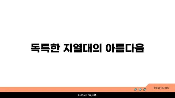 아이슬란드의 매혹적인 온천과 자연 경관