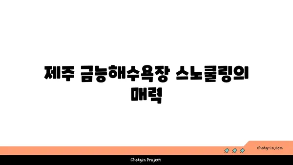 제주 금능해수욕장에서 스노쿨링과 조개 잡기