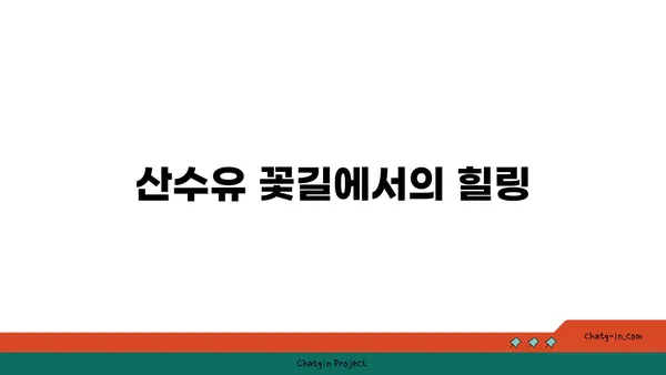 구례 산수유 축제에서 산수유마을 탐방