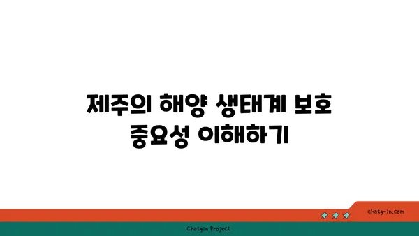 제주의 수중 세계 탐사: 금능해수욕장 스노쿨링과 조개잡이