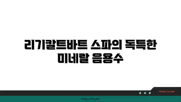 스위스 스파 온천 추천: 리기칼트바트 미네랄바드앤스파