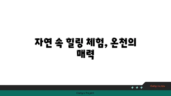 만덕고개 누리길: 부산의 멋진 밤 풍경 속 온천수영장
