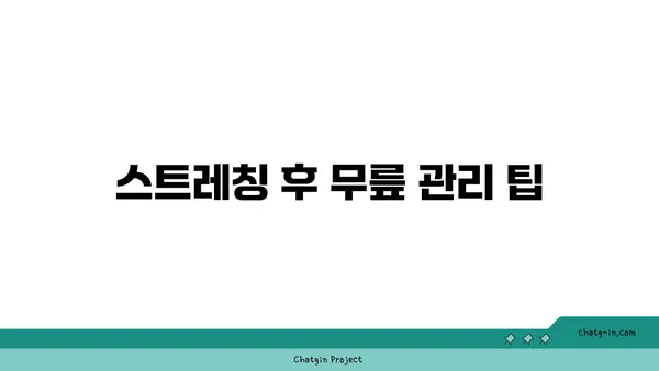 무릎 보호를 위한 저강도 요가 스트레칭 추천