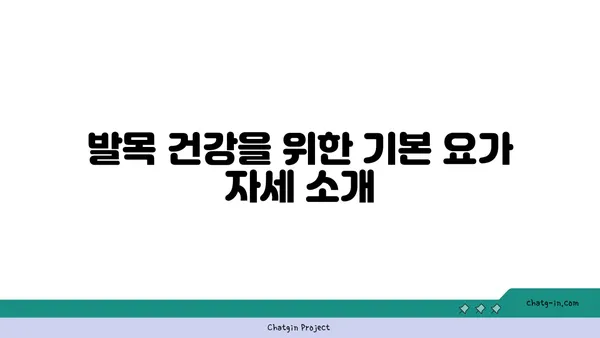 발목 건강을 위한 아이엔가 요가 스트레칭