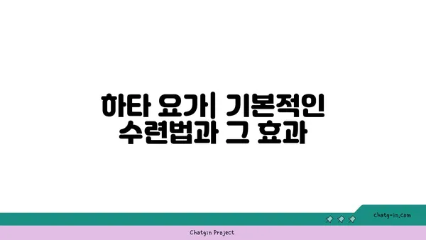 요가의 다양한 수련법과 그 효과 비교