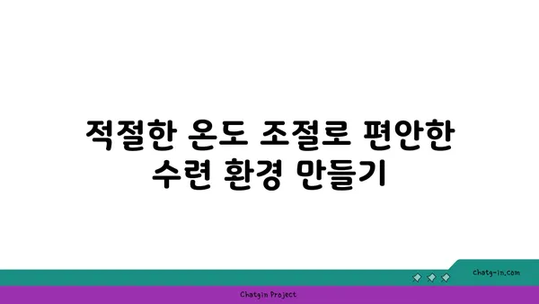 최적의 요가 수련 환경 조성법