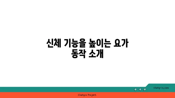 50대 이후 신체 기능 유지를 위한 요가