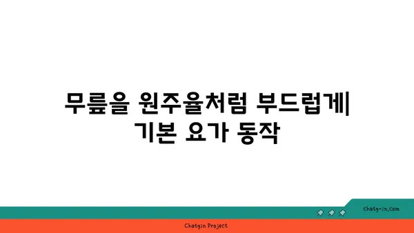 무릎 건강을 위한 요가 스트레칭 방법