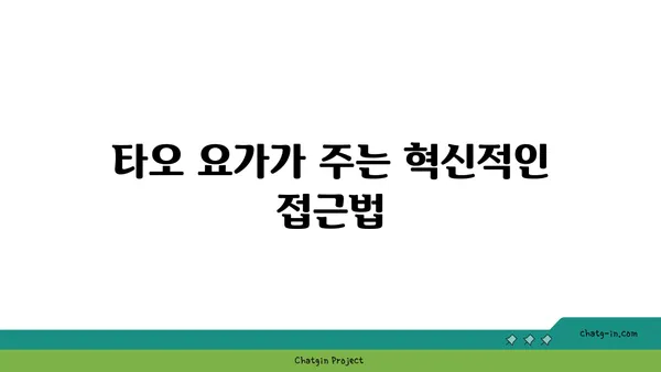 타오 요가와 중국 전통 수련의 조화
