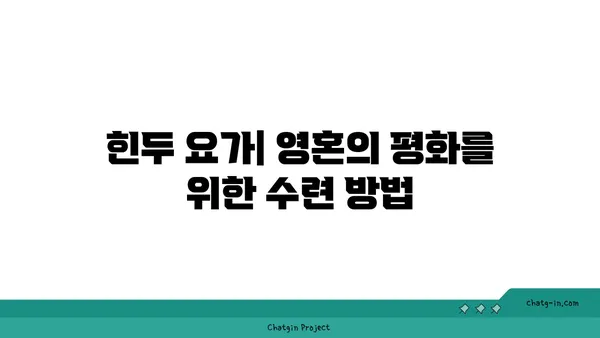 요가의 다양한 수련법과 그 효과 비교