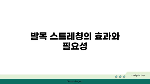 발목 건강을 위한 아이엔가 요가 스트레칭