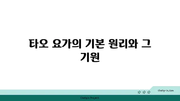 타오 요가와 중국 전통 수련의 조화