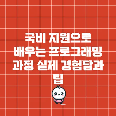 국비 지원으로 배우는 프로그래밍 과정: 실제 경험담과 팁