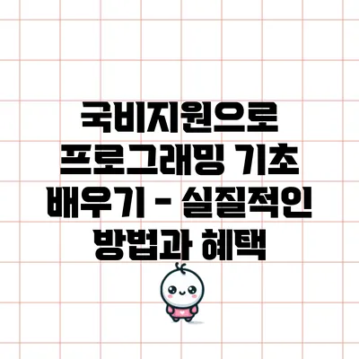 국비지원으로 프로그래밍 기초 배우기 - 실질적인 방법과 혜택