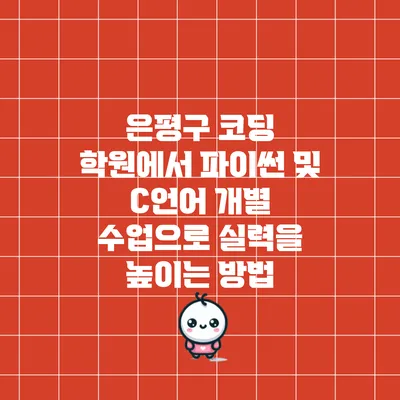 은평구 코딩 학원에서 파이썬 및 C언어 개별 수업으로 실력을 높이는 방법