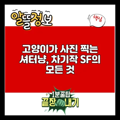 고양이가 사진 찍는 셔터냥, 차기작 SF의 모든 것
