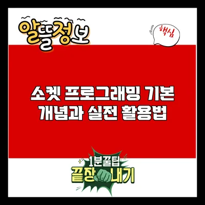 소켓 프로그래밍: 기본 개념과 실전 활용법