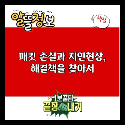 패킷 손실과 지연현상, 해결책을 찾아서